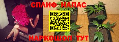 бутират Будённовск