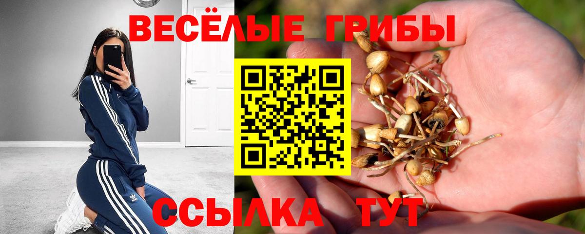 Псилоцибиновые грибы прущие грибы  Вход с VPN  Люберцы 